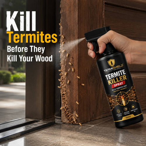 Termite Killer Spray - Pack of 2