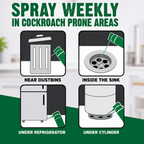 Cockroach Killer Spray | PACK OF 2 BOTTLES