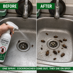 Cockroach Killer Spray | PACK OF 2 BOTTLES