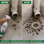 Cockroach Killer Spray | PACK OF 2 BOTTLES
