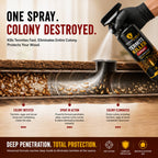 Termite Killer Spray - Pack of 2
